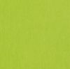 RON 55/30 lámpabúra  Chintz lime/fehér PVC  max. 23W