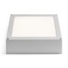 SCOTT mennyezeti lámpa ezüstszürke 230V LED 9.8W IP54 3000K